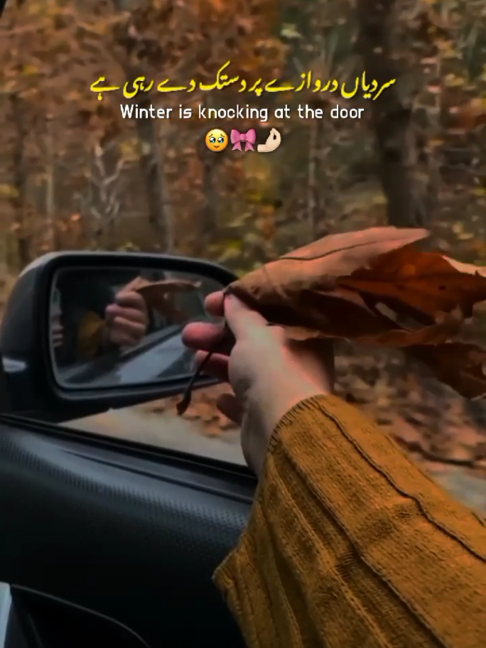 November Begins 🍁🌼 || November Status ✨ || The month of November Begins 💗 || November New Status Video ✨ #november #Begin #november2025 #statusvideo #fyp 