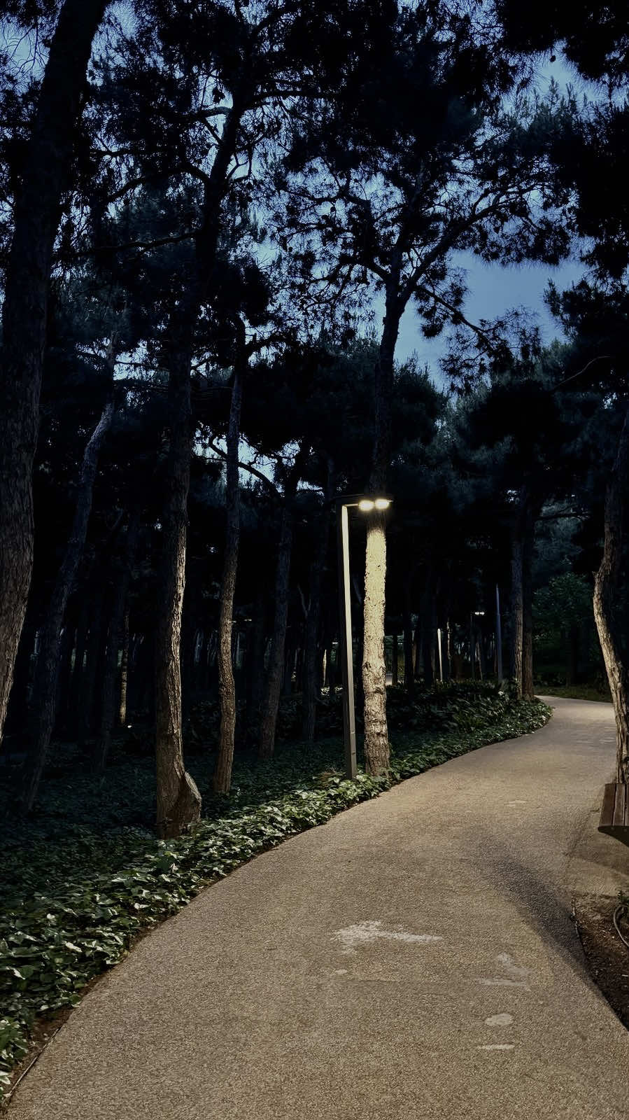 Không có duyên làm sao ta gặp gỡ#su15089x #fyp #nhactamtrang #nhachaymoingay #sbtentertainmentt 