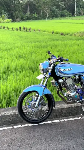 Nantik klo udah pindah tangan baik” ya#tigeranjello #gl100 #fyp 