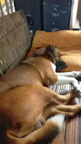 #fyppppppppppppppppppppppp #viral #semuaorang #cangakmc 