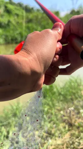 Bộ Môn Ma Giáo Mới #cauca #câucá #caucagiaitri #fishing #caudai 