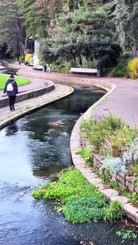 Failure#fail #funny #fyp #run #jump 