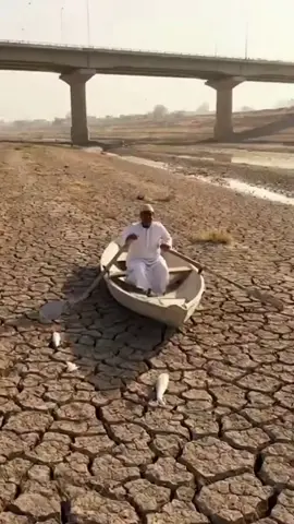 نهر دجلة 💔 #أنقذوا_نهر_دجلة  #جفاف_دجلة  #العراق  #ازمة_المياه 