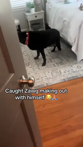 Zawg tried to act innocent 😂 #donpollo #blud #fyp #billcollector #zawg    