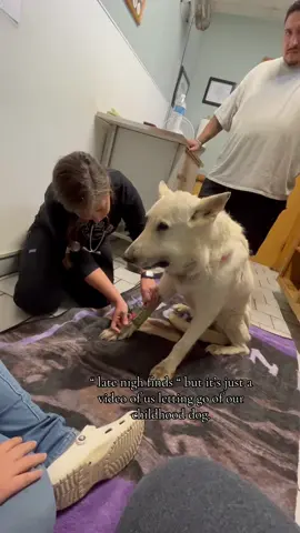 All dogs go to Heaven #dog #doglover #usaus #foryou #fyp #Love 