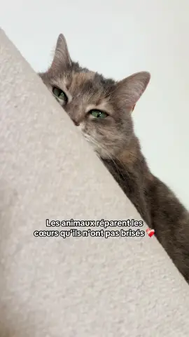 Mon plus beau cadeau ❤️