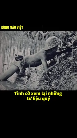 Ngàn Lần Biết Ơn ...   #dongmauviet 