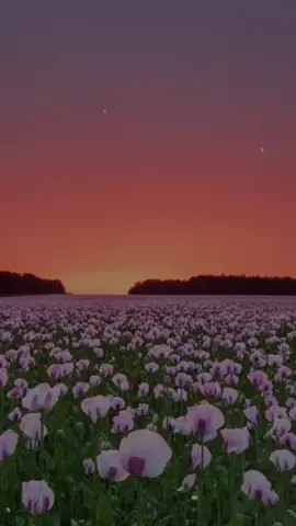 #holanoviembre #CapCut 