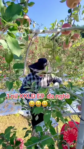 Con gái nhà ngta sao chứ Con gái nhà này cở này k á😆😆😆 #xuhuong #xklde9hanquoc🇰🇷 #viral #hanquoc #lamnonghanquoc🇰🇷 