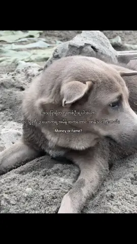 #Money or fame?📌 #taytux4 #fouryoupage #1millionaudition #viwesproblem 