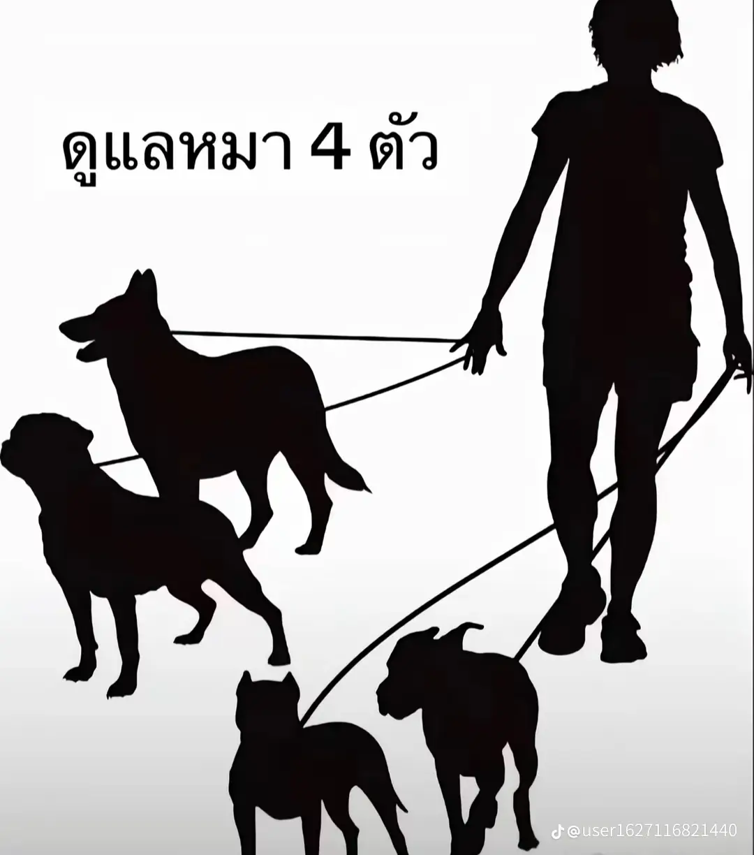 #rov #หาคนเล่นด้วย 