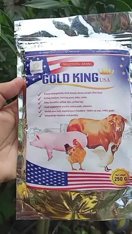 Gold King USA #GoldkingUSA #Goldking #Peternakan #peternakansapi #multivitamin #dasshuz1000