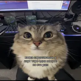 #тароказахстан #recommendations #рекомендации #fyp #fyr 