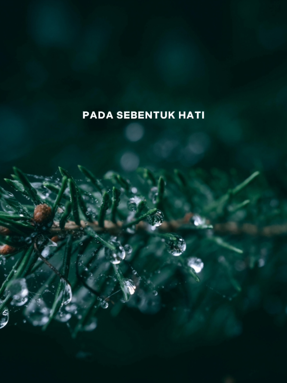 Lewat semesta #CapCut #lirik #fyp #capcutpioneer #pioneertemplate 