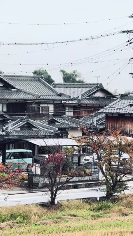 🥹🌦️🍂 #fyp #japanvibes 