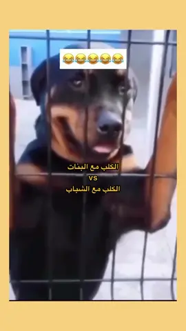 المستكلب الحنون 😂😂😂#الشعب_الصيني_ماله_حل😂😂 #السعودية #CapCut 