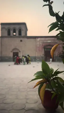 اب گزری ہوئی عمر کو آواز نہ دینا، اب دُھول میں لپٹا ہوا بچپن نہ ملے گا۔#creatorsearchinsights 