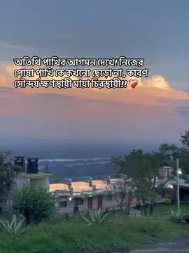 #foryou #tiktok অতিথি পাখির আগমন দেখে! নিজের পোষা পাখি কে কখনো ছেড়ো না , কারণ সৌন্দর্য ক্ষণস্থায়ী মায়া চিরস্থায়ী!! 