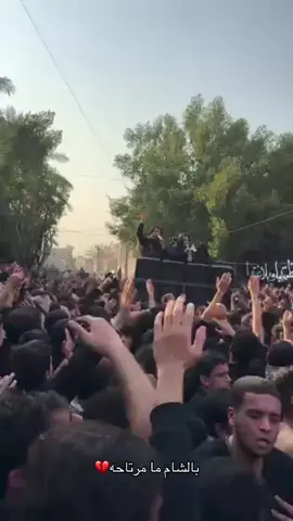 #creatorsearchinsights قربيا ان شاء الله ايام قليل #يافاطمه #اللهم_عجل_لوليك_الفرج #حسين والي اللامي  #سيدمهدي_البكاء 