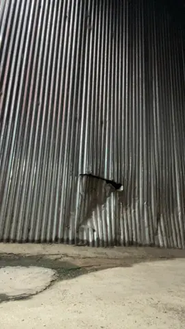 ពាលមិច😌#xyzbca #fype 