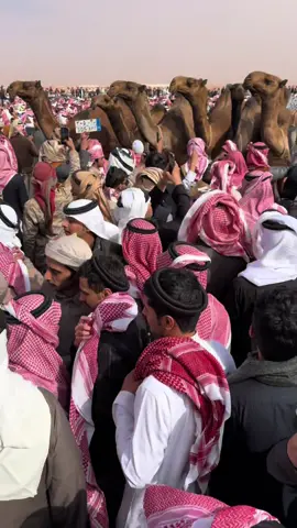 #نحارات #تصويري📸 #اكسبلور #نحارات_الصفر #نحارات_مطير 