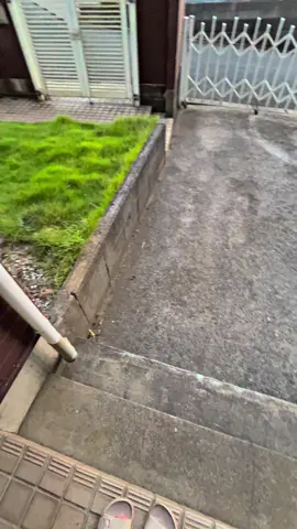 Kireina🇯🇵 #fypシ゚ #foryou #masukberandamuu #sunsetvibes 