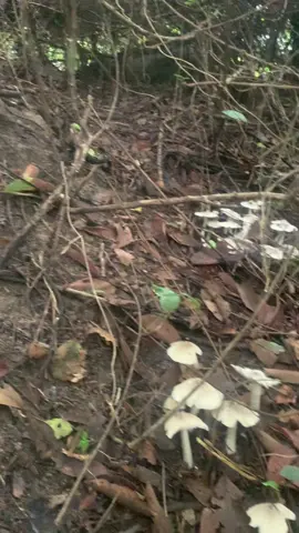 Bao nhiêu mệt mỏi tan biếng