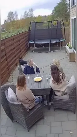 Hero dog 🐶 #dog#funny#cute#tiktok #fyp