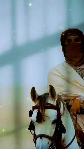 هكذا شخصيتي انا #خيل_وخياله🐎 #CapCut #مشاهير_تيك_توك_مشاهير_العرب🌺💜 #tiktok 👑😇