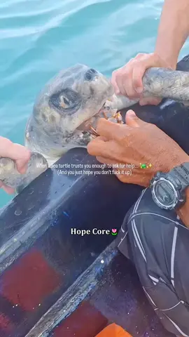 Hope Core 🌹🥹#Love #hopecore #animals #help #fyp 