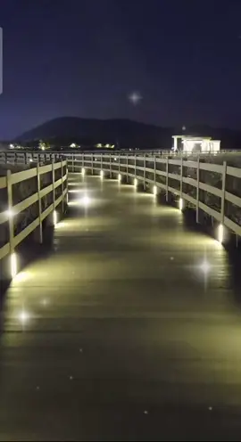 #다대포전망대 #부산다대포 #다대포해수욕장 #상어를사랑한인어  개인적인 일로 방송과 영상 잠시 중단할께요~다들 감기조심하시고 즐주말보내세용😊