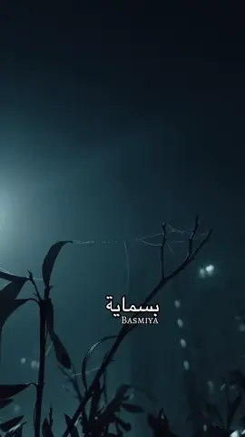 اجواء الشتاء في مدينتي بسماية  #اكسبلورexplore❥🕊 #fyp #تصاميم_فيديوهات🎵🎤🎬 #الشعب_الصيني_ماله_حل😂😂 #اكسبور_erolpxe 