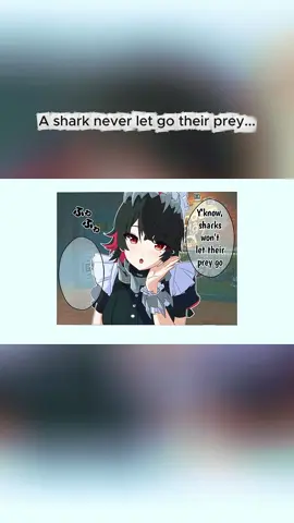 A shark never let go their prey... #comicdub #sharkmeme #animememe #voiceacting #yandere 