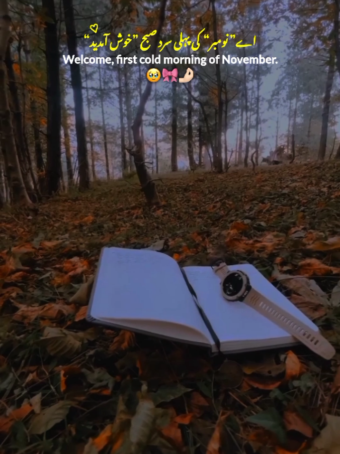Welcome November 🍁💓 || November Begins 💗🎈 || November Status Video ✨ #november2025 #Begin #November #statusvideo #fyp 