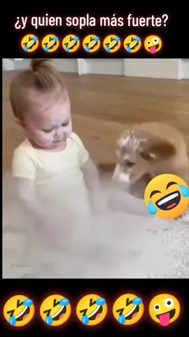 Quien sopla más fuerte 😁#humor #familia👩‍❤️‍👨con🌹gafas😎official #ELEMENTALESDELATIERRA🌎🥀🌍🌹🌏🌻 #enparati 
