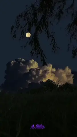 اللهم اغننا بالعلم وزينا بالحلم 🤍🍃 #كلام_من_القلب  #موعظة_دينية #موعظة  #fyp #fyppppppppppppppppppppppp 