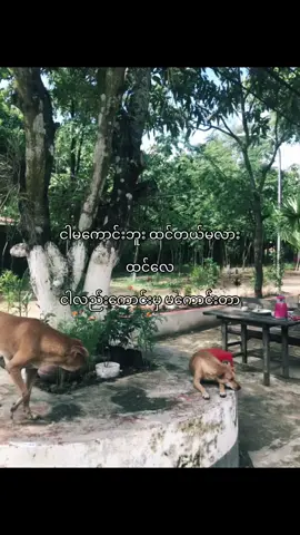 #lyrics #xyzbca #viral #foryou #moots? 