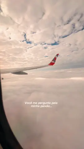 Você me pergunta pela minha paixão… 💭✈️ #aviação #marshaller #fiscaldepátio #piloto