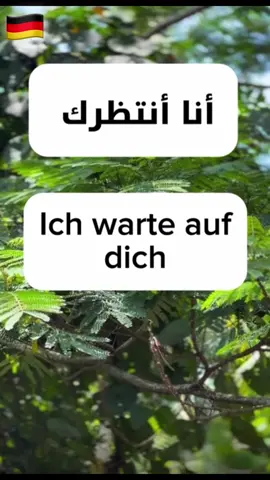 #deutschstart #germane🇩🇪 #germany #deutschlernen🇩🇪 #lernendeutsch🇩🇪 #sprachenlernen #deutschonlinelernen #الألمانية_كلغة_أجنبية #الألمانية_للجميع #تعلم_الألماني_بسهولة #تعلم_على_التيك_توك 