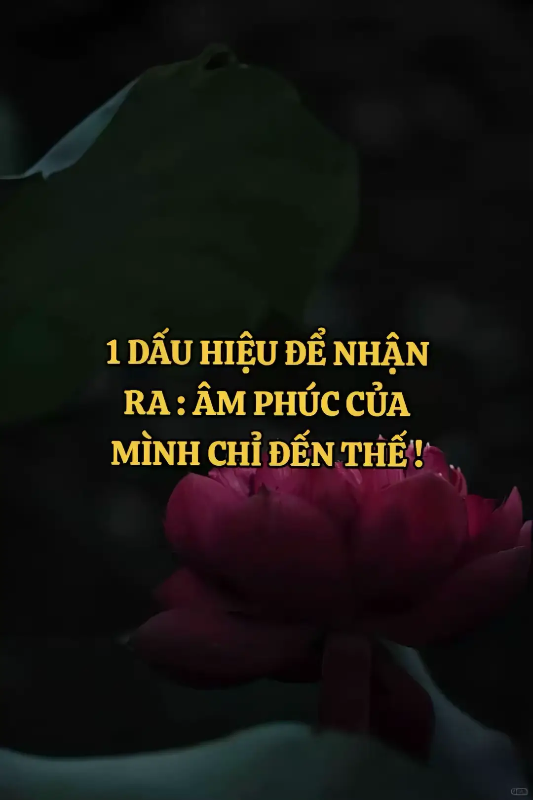 (C’re: Bùi Tuấn Sơn) #phatphapnhiemmau #phatphap #cuocsong 