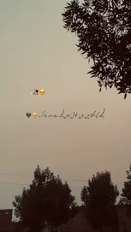 𝘏𝘢𝘺𝘦𝘦 𝘖𝘩𝘩 𝘑𝘢𝘯𝘢𝘩 ;🫵🏻🥹🌸 . . . #esthetixshabii92 #foryouofficialpage #unfreezmyaccount 