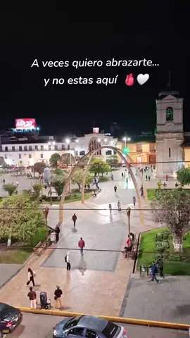 Y no estás aquí 😔🙂‍↕️#paratiiiiiiiiiiiiiiiiiiiiiiiiiiiiiii #huancayo #parquecontitucion #lujoso 