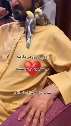 #الشيخ_محمد_بن_راشد_آل_مكتوم  #حربي_العامري 