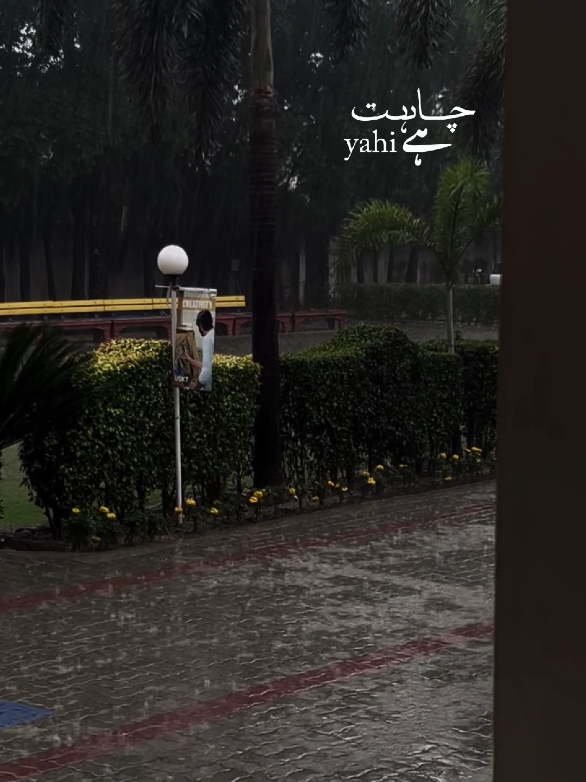 Qadmon mein tere mein do jahaan waar doon🫠 #btw_maann #fyp #foryou #viralvideo 