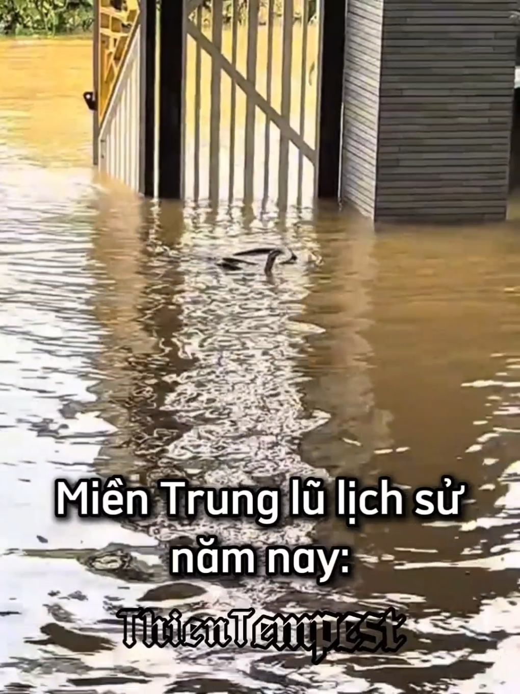 Tình hình kỉ lục của 2 Miền năm nay: #lũ #bão #thientempest🌪️⚡ #mưa #xh 