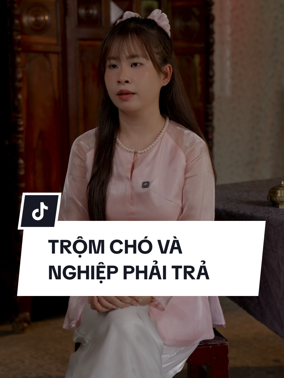 Chó là bạn chứ không phải..... #nemostudio #vyvylee #vyhonghao #chuyenma #chuyentamlinh 