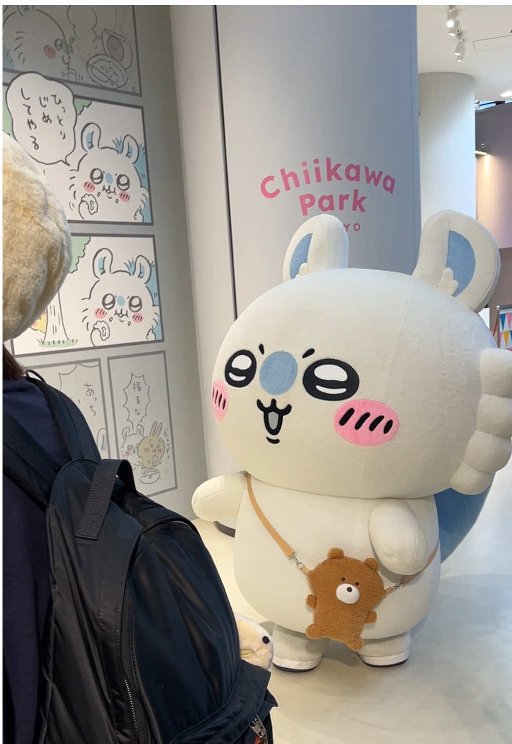 chiikawa and momonga interaction in chiikawa park! #ちいかわ #モモンガ #Chiikawa #momonga 