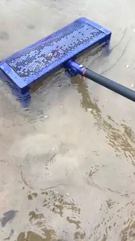 Nettoyage de plage – des tapettes à mouches et des bijoux dans le sable