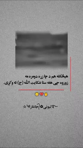 #pashto #sad #janisar #viral #foryoupage 