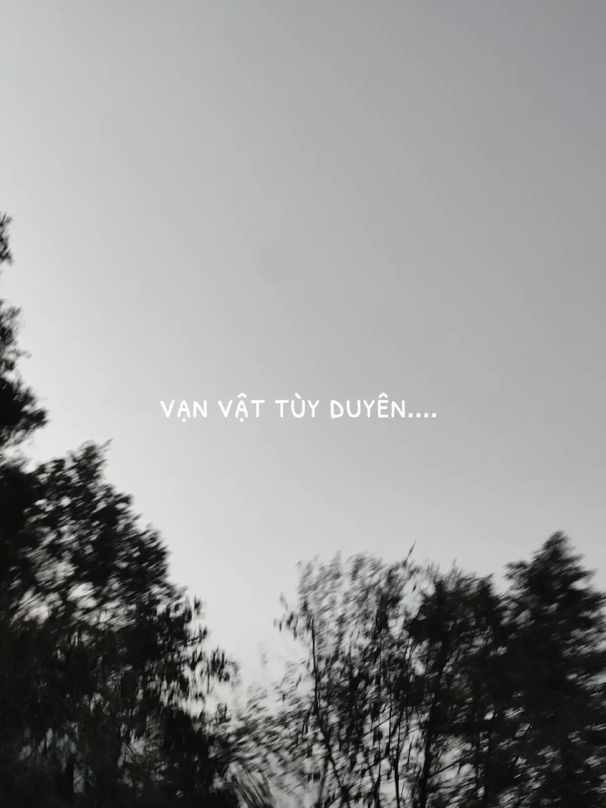 #buon #tho #xuhuongtiktok 